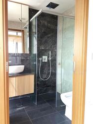 Spottiswoode Suites (D2), Apartment #460668191